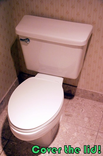 Toilet Cover Lid