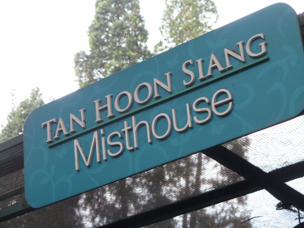 Tan Hoon Siang Mist House