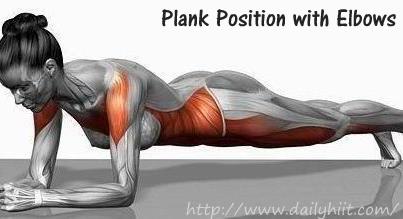 Correct Plank Position with Elbows