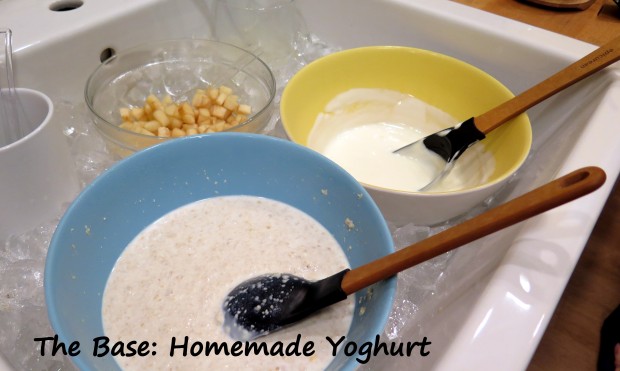 The Homemade Yoghurt